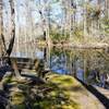 Lovely spot to enjoy the wetlands