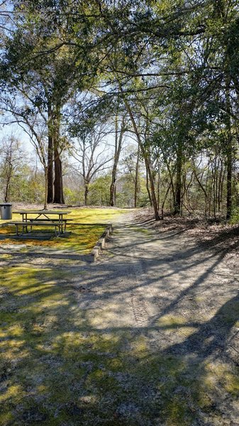 Picnic spot on the trail