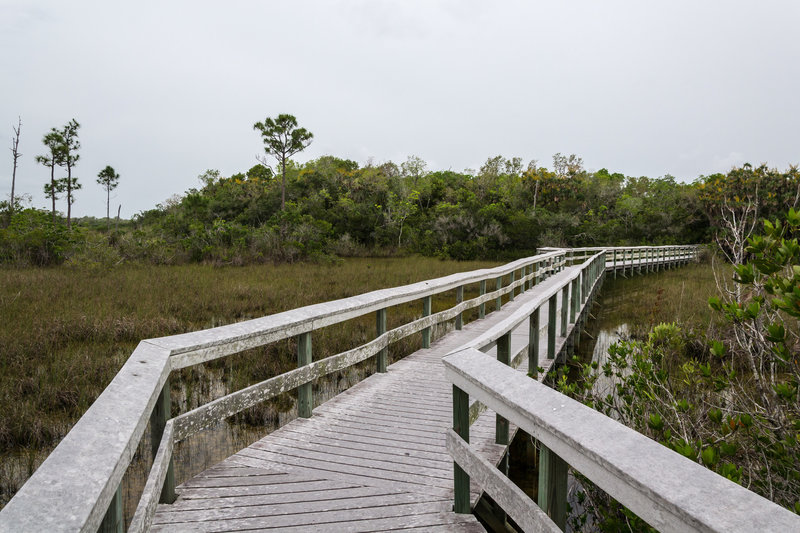 Everglades National Park, Florida, USA