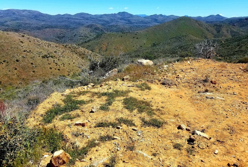 Third peak outlook