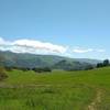 The vast meadows at the southern end of Brush Trail, with the Diablo Range hills extending far into the distance, looking east on Brush Trail on a gorgeous spring day.