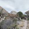 Guadalupe Mountains National Park