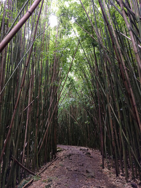 Haleakala National Park