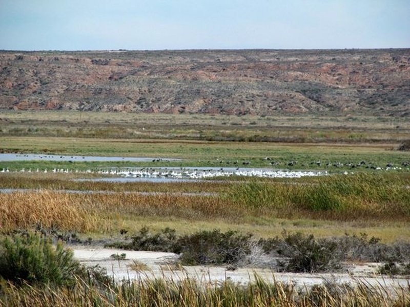 Some wildlife along the trail