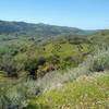 Views of the broad San Felipe Creek Valley, and grass and wooded hills to the west-northwest, from high on Canada de Pala Trail, as one approaches Mt. Hamilton Rd. from the south.