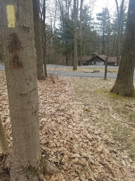 Cabin area of Black Moshannon