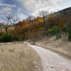 Path Through The Maples