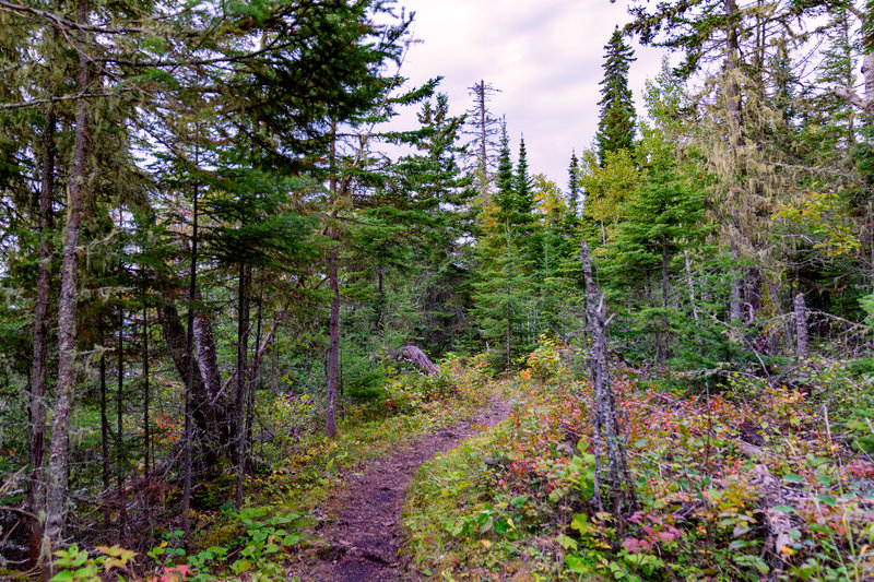 Hiking Trail from Three Mile to Daisy Farm - Isle Royale National Park