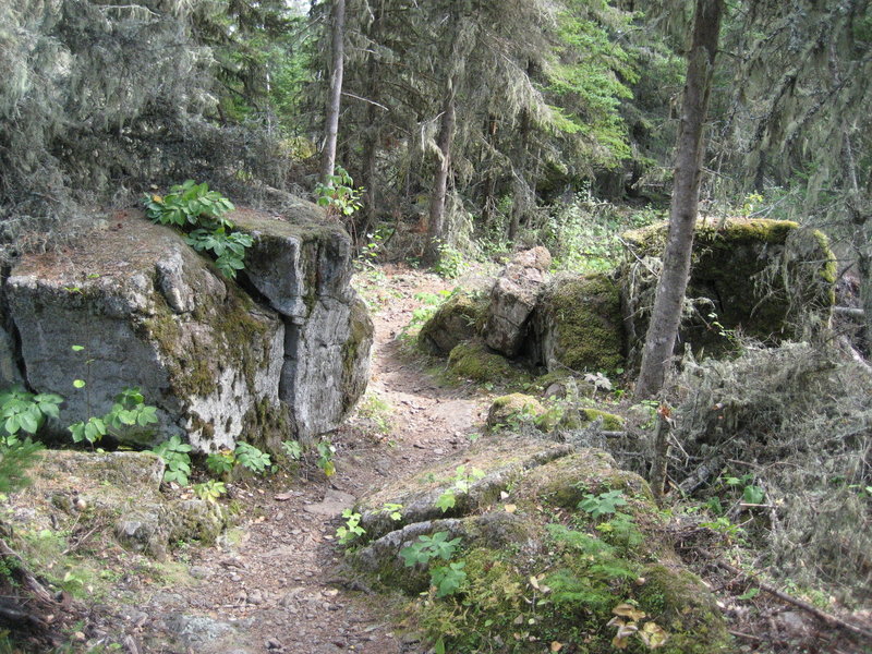 Bolders on the trail to Lookout Louise, Isle Royale National Park, Rock Harbor, Michigan.