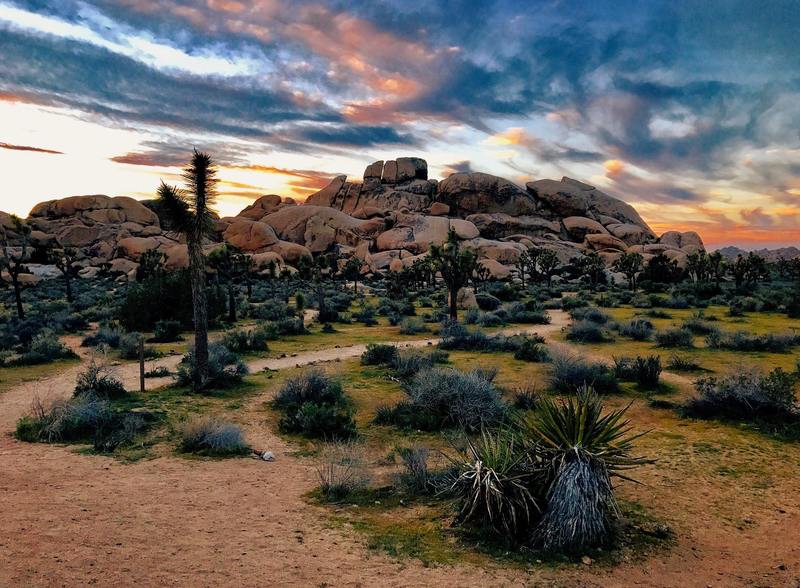 Joshua Tree National Park