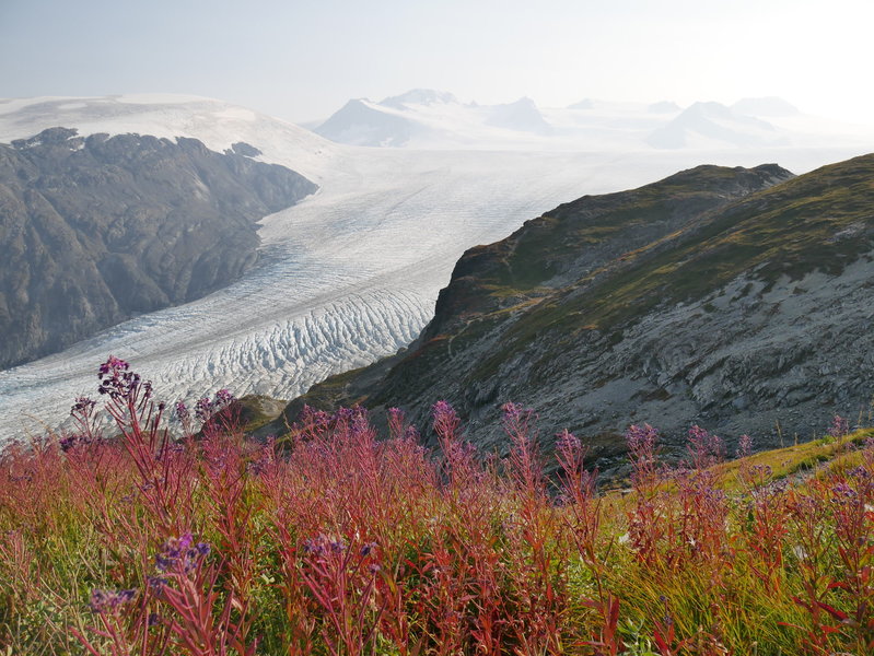 Kenai Fjords National Park