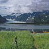 Pederson Lagoon and Glacier