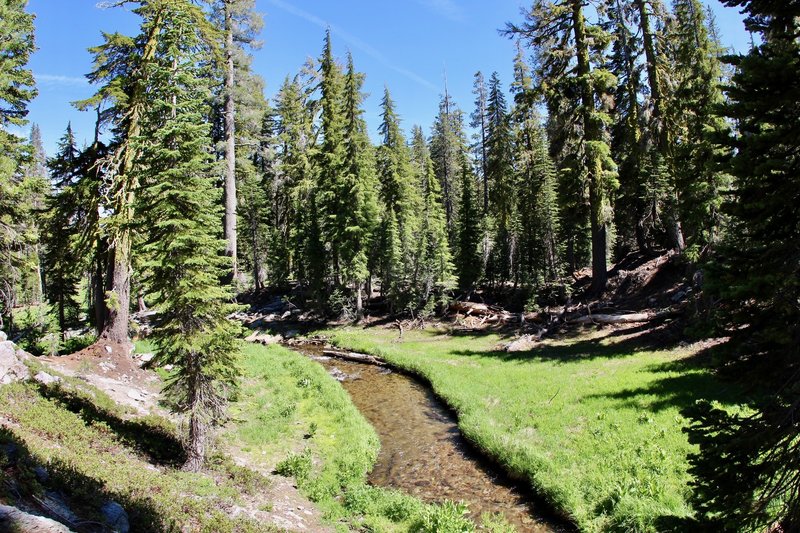 Kings Creek meadows