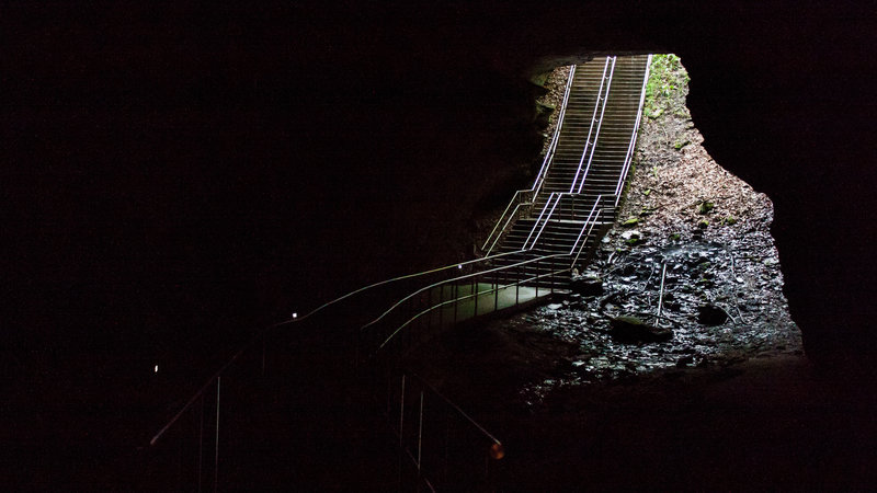 Mammoth Cave National Park