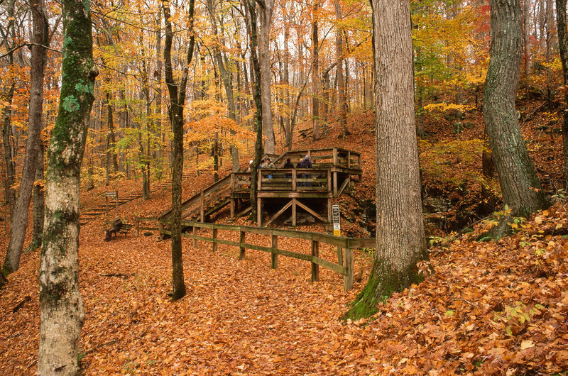 Mammoth Cave National Park