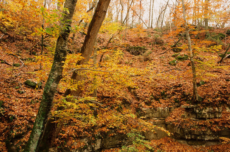 Mammoth Cave National Park