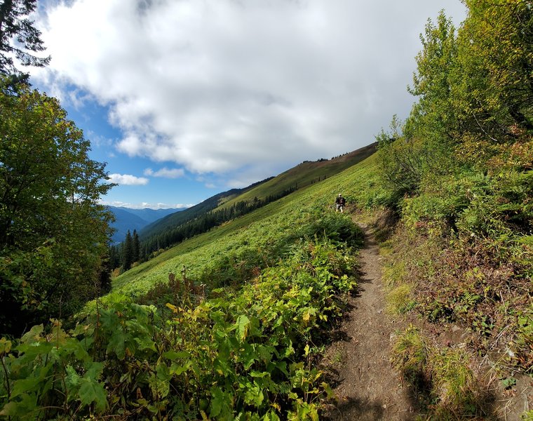 North Cascades National Park