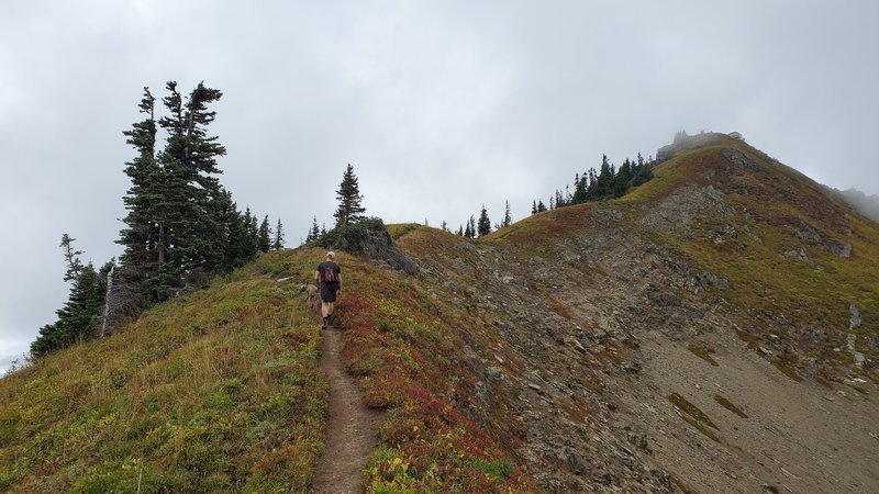 North Cascades National Park