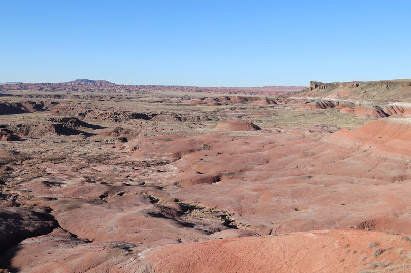 Lacey Point overlook