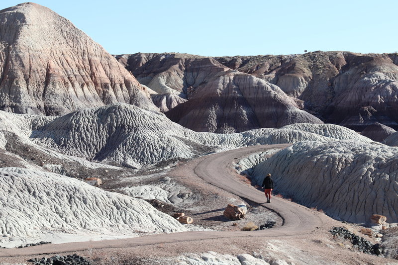 Marlena walking on Blue Mesa Trail loop