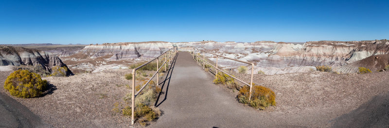 Petrified Forest National Park