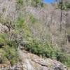 Looking up at the gorge rim from Linville River near Bynum Falls