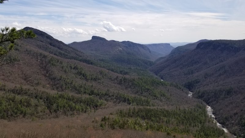 Looking south from Celestial Point along the Devils Cliffs - just off of the Jonas Ridge Trail