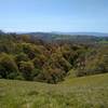 One of several small creeks, starts from the heights along Bonhoff Trail, and flows down its wooded valley (left). The blue Santa Cruz Mountains in the distance, are seen from high on Bonhoff Trail