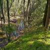 Smith Creek is a pretty little creek in the Joseph D. Grant County Park backcountry. It is visited by Smith Creek Trail.