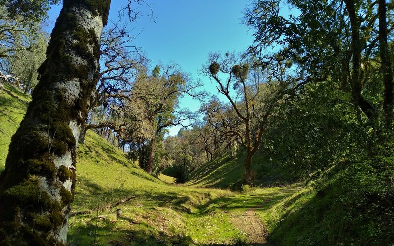 A small creek in its thinly wooded creek valley, is to the left of Foothill Trail here.