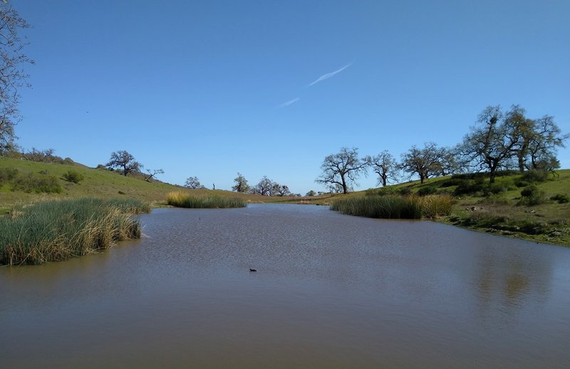 Tiny Eagle Lake is at the Foothill Trail/Hotel Trail junction.