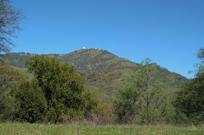 Mount Hamilton, 4, 265 ft., and Lick Observatory are seen nearby to the northeast, from Manzanita Trail.