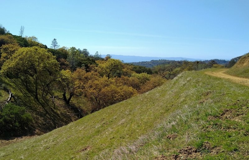 In the distance are the blue Santa Cruz Mountains, as a creek in its wooded valley is to the left, high on Manzanita Trail.