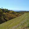 In the distance are the blue Santa Cruz Mountains, as a creek in its wooded valley is to the left, high on Manzanita Trail.