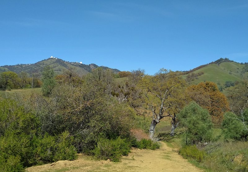 Great views to the northeast descending Manzanita Trail - Mt. Hamilton, 4,265 ft. (left), and surrounding green hills and countryside on a gorgeous spring day.