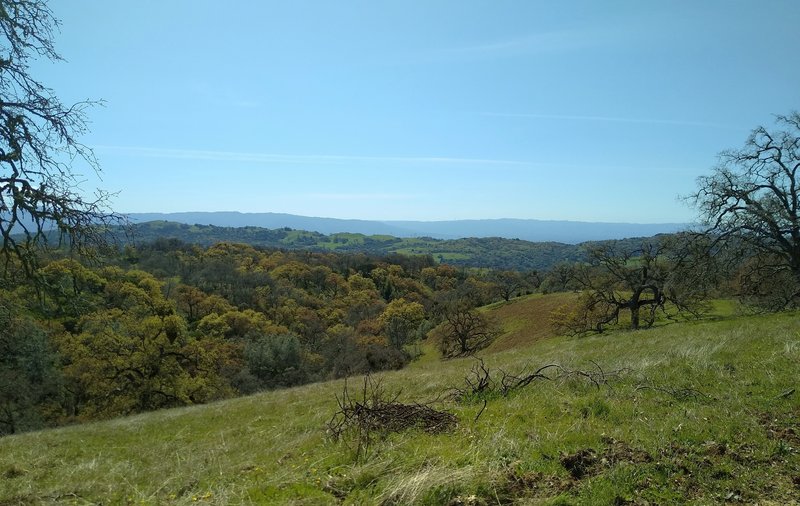 Several creeks start high in the hills around Manzanita Trail. One of these creeks in its wooded valley, is on the left.  In the distance to the southwest are the blue Santa Cruz Mountains.