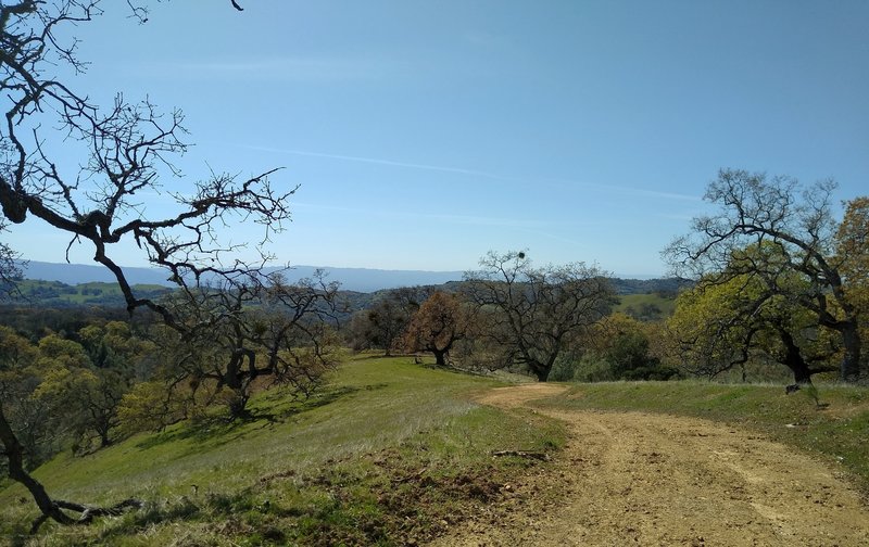 High in the Diablo Range of Joseph D. Grant County Park backcountry, Manzanita Trail winds through the grassy tree studded hills, with the blue Santa Cruz Mountains in the distance to the southwest.