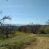 High in the Diablo Range of Joseph D. Grant County Park backcountry, Manzanita Trail winds through the grassy tree studded hills, with the blue Santa Cruz Mountains in the distance to the southwest.