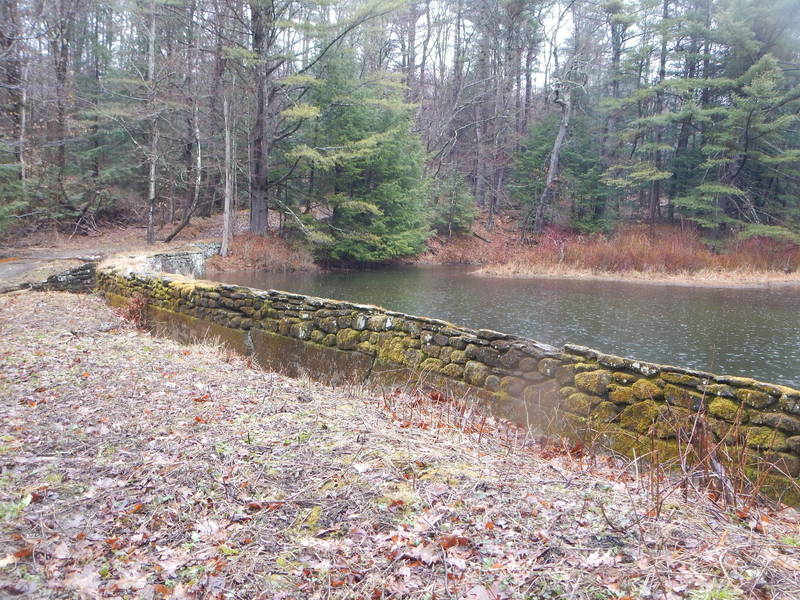 Stone wall on the pond's edge.