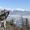 Yukon and the Turnagain Arm from Gull Rock (Hope, AK)