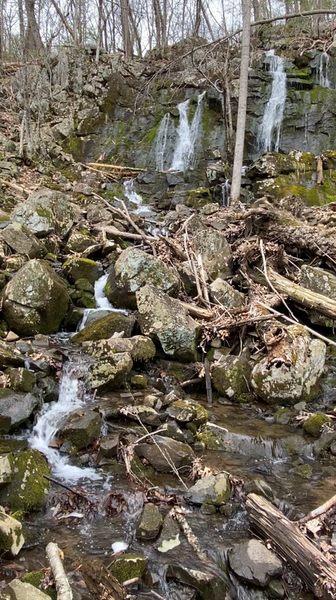 Bissell Brook Falls