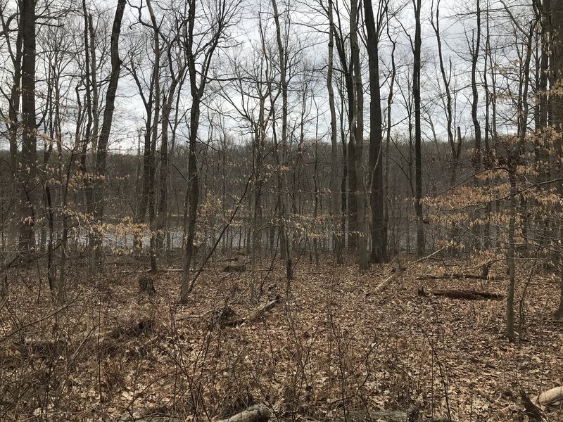 View of Scott's Run Lake