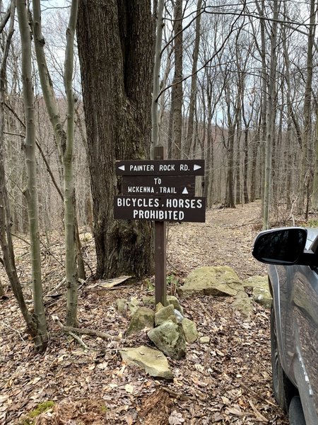 Trailhead on Painter Rock Road