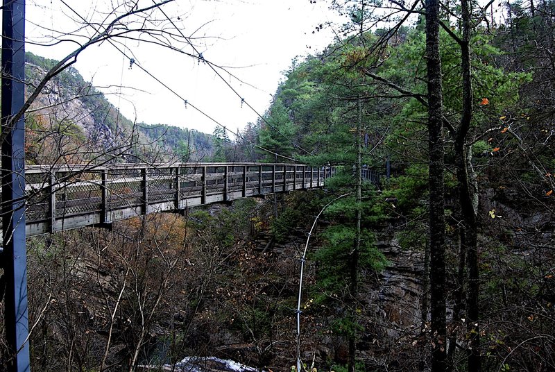 Tallulah Gorge, Georgia Suspension Bridge (foot)