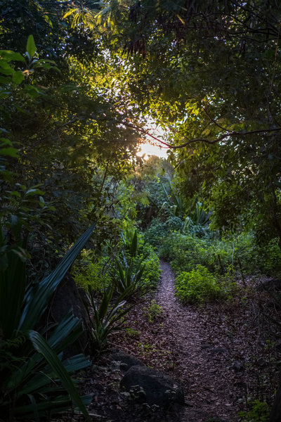 Kalalau Trail - back from the stream