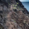 Kalalau Trail - Crawler's Ledge