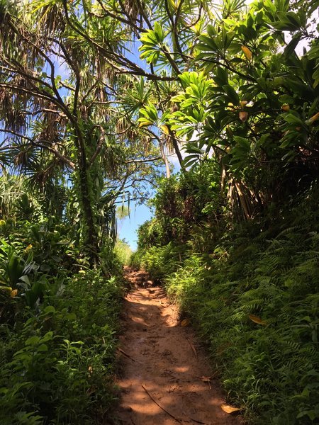 Nāpali Coast