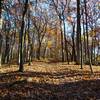 Starved Rock State Park