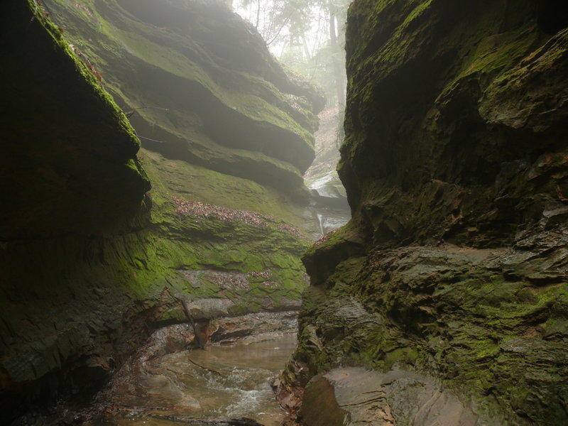 Turkey Run State Park, Indiana