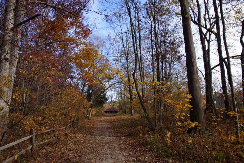 Turkey Run State Park